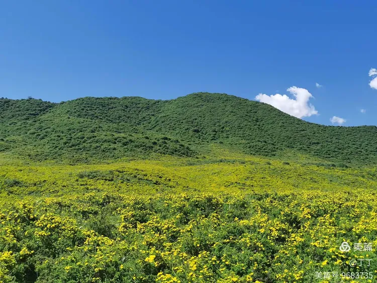 风景美如画——黄草坪